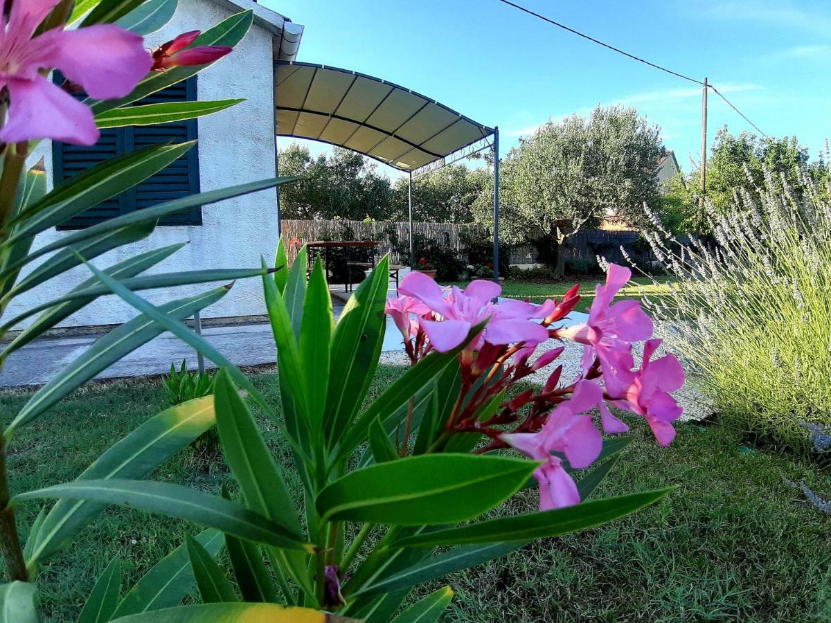 Holiday Home Villa Emma Debeljak 外观 照片