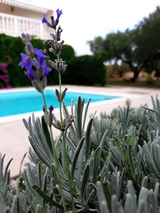Holiday Home Villa Emma Debeljak 外观 照片